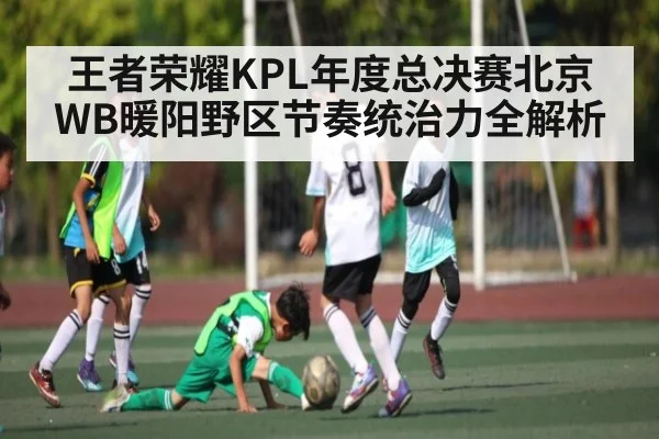 王者荣耀KPL年度总决赛北京WB暖阳野区节奏统治力全解析